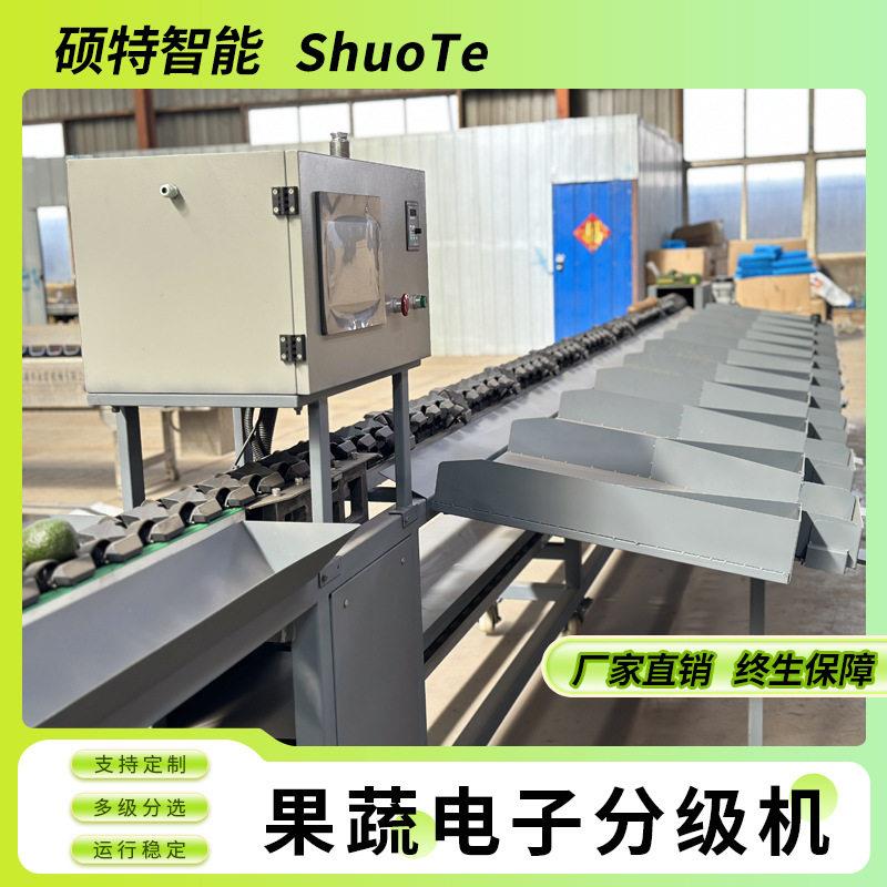 火龙果重量分选机猕猴桃重量分选机厂家百香果选果机价格