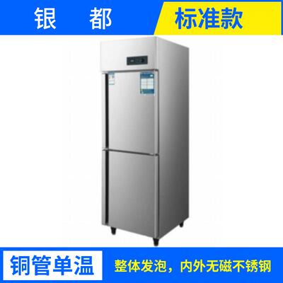 江苏银都豪华款冰箱立式单门四门六门高身柜冷藏冷冻冰柜BLL0541S