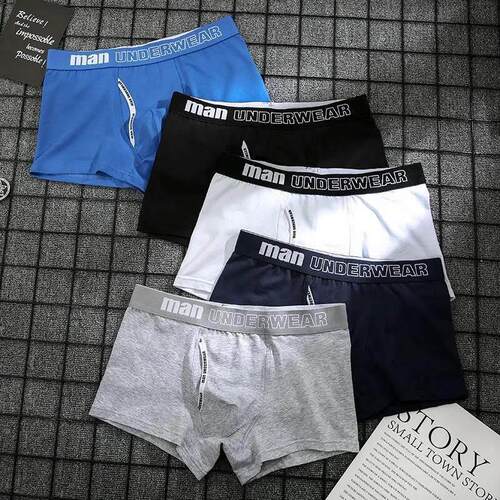 4pcs Boxer Mens Underwear Men Cotton Underpants Man 纯棉内裤