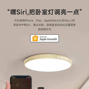 超薄led吸顶灯简约现代中山主卧室灯房间客厅灯走廊阳台超亮灯具