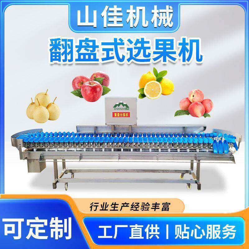 自动柑橘选果机黄桃重量分级机新升级操作简多功能分选设备