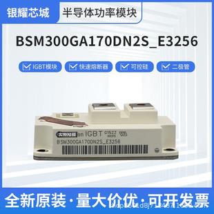 BSM300GA170DN2S_E3256BSM300GA170DN2SBSM300GA120DN2S_E3256