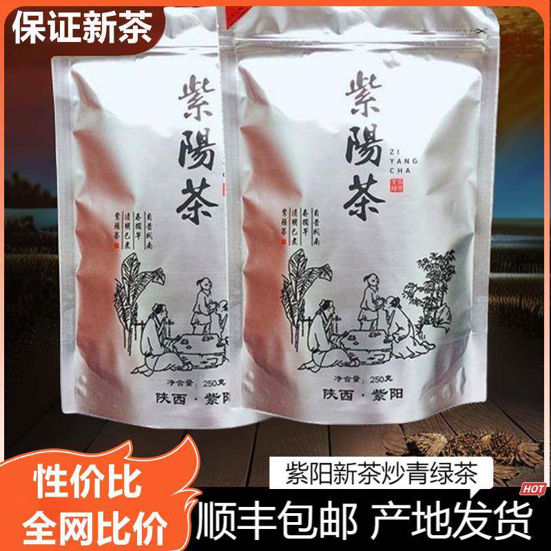 2025新春茶陜西安康紫阳富硒茶产区 紫阳绿茶炒青茶毛尖散装500克