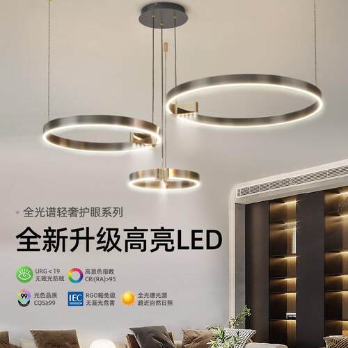 2024年新款吊灯现代简约高端大气意式极简三圈圆环形吊线灯感大厅