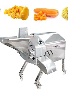 大型果蔬切丁机高速生姜南瓜土豆切丁机切条机芒果切切条机