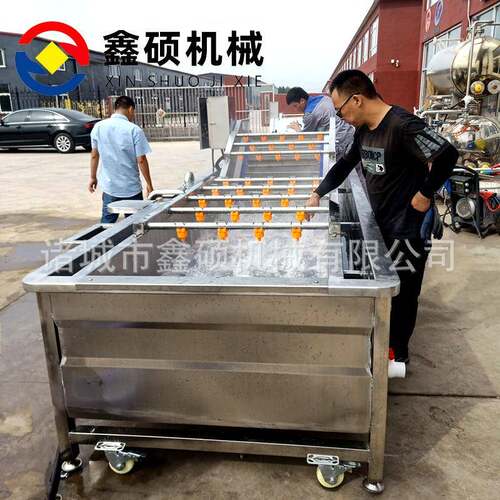 厂家毛豆花生果蔬气泡清洗机圣女果荔枝清洗设备小龙虾清洗设备