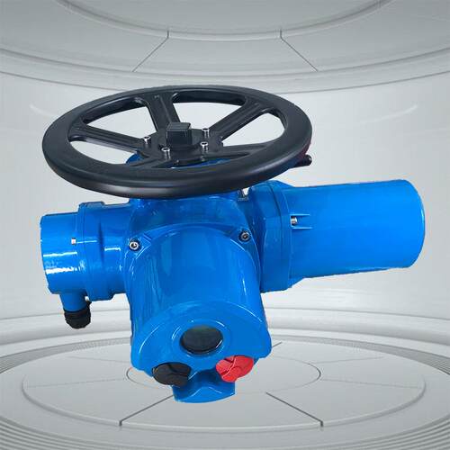 伯纳德津上DZW500-24W/Z/TZ500-24W/Z/T智能遥控电动装置