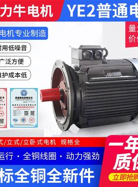 现货供应全铜YE2系列电机 三相异步电动机Y180L-4级-22KW卧式电机