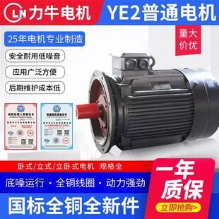 现货供应全铜YE2系列电机 4级 22KW卧式 电机 三相异步电动机Y180L