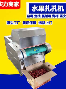果脯浸糖前端孔扎机 自动输送莓蔓越莓刺孔机蓝 连续YRZ式水扎果