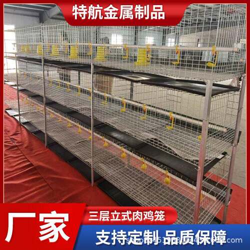 三层立式肉鸡笼镀锌材质各种鸡笼养殖设备养殖场鸡舍用镀锌