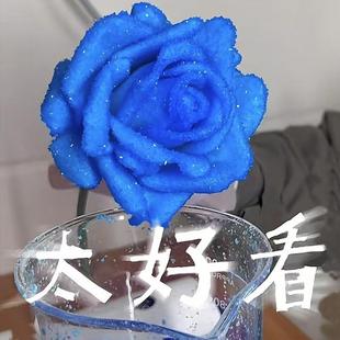 旗舰店官方正品冰晶玫瑰晶体花制作材料硫酸铝钾明矾氯化锰硫酸铬