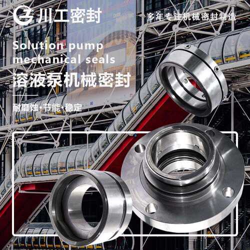 弹簧轴封 SE2-AP-80-QRVQ250HS-AH 专业用在生产食盐上机械密封