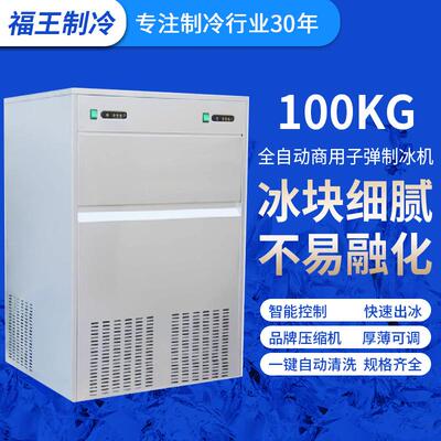 厂家供应BNJ-100制冰机 饭店制冰 酒吧 奶茶店 海鲜冰块