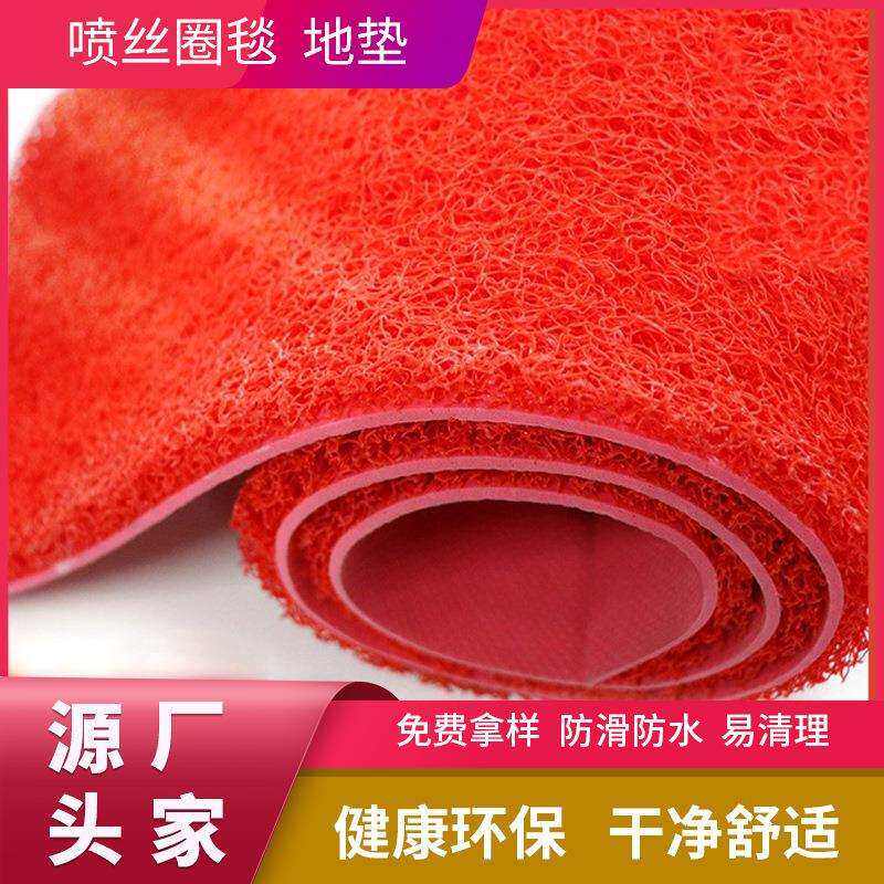 PVC地毯耐磨地垫喷丝圈毯地垫家庭门店商场入户地垫logo喷丝圈毯