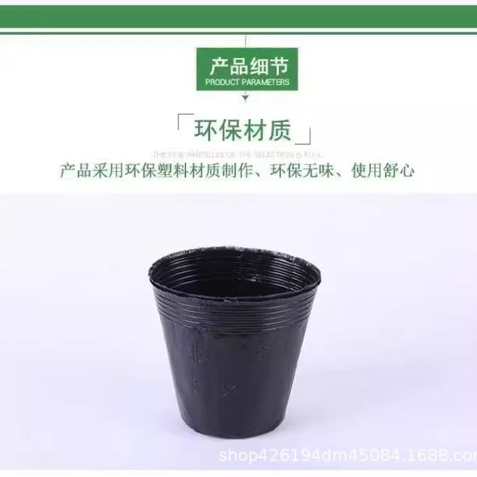 营塑料营养养钵育苗杯养营杯一次性塑料盆盆花加厚育苗整件型号全