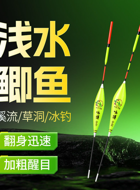 浅水鲫鱼漂2目加粗醒目冬钓草洞高灵敏纳米轻口鱼漂浮漂冬钓专用
