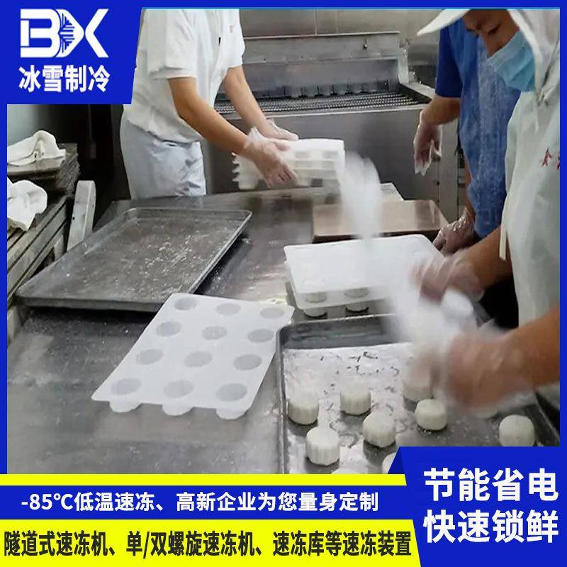 广东供应隧道式速冻机饺子包子低温速冻设备食品网带式速冻机