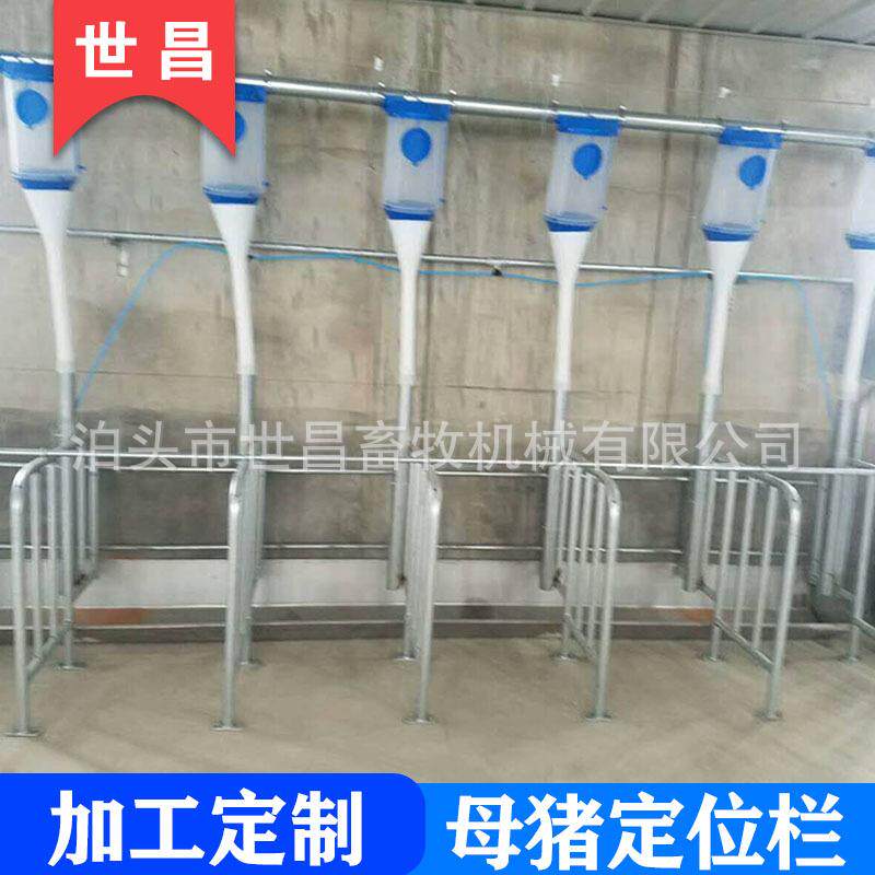 母猪产床定位栏小猪保育床自动化料线设备支持来图