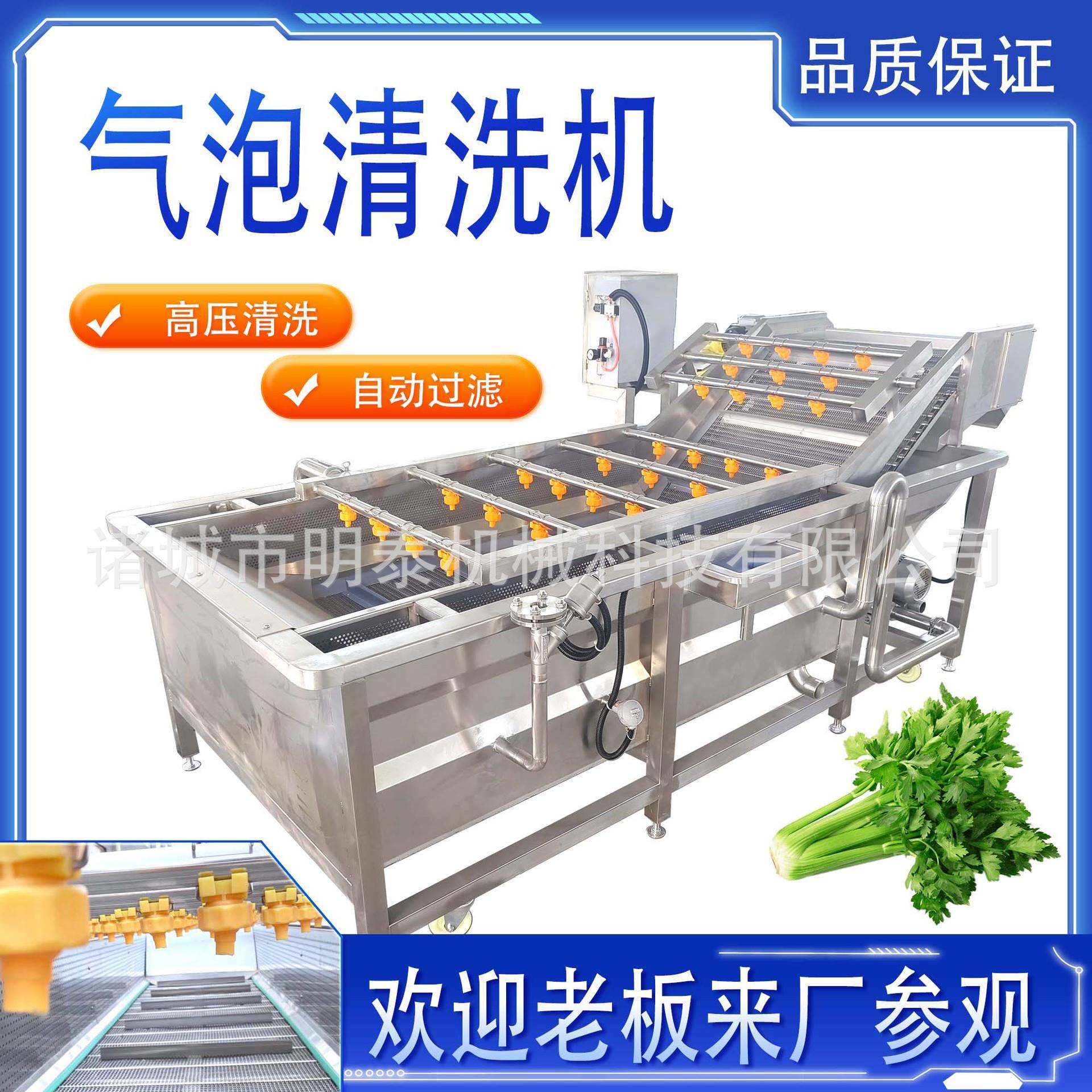 商用水果清洗机毛桃油桃荔枝苹果橙子喷淋式清洗机酱腌菜脱盐机