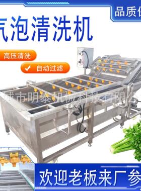 商用水果清洗机毛桃油桃荔枝苹果橙子喷淋式清洗机酱腌菜脱盐机
