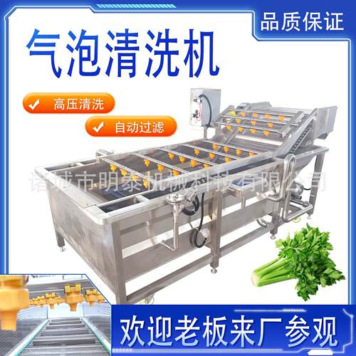 商用水果清洗机毛桃油桃荔枝苹果橙子喷淋式清洗机酱腌菜脱盐机