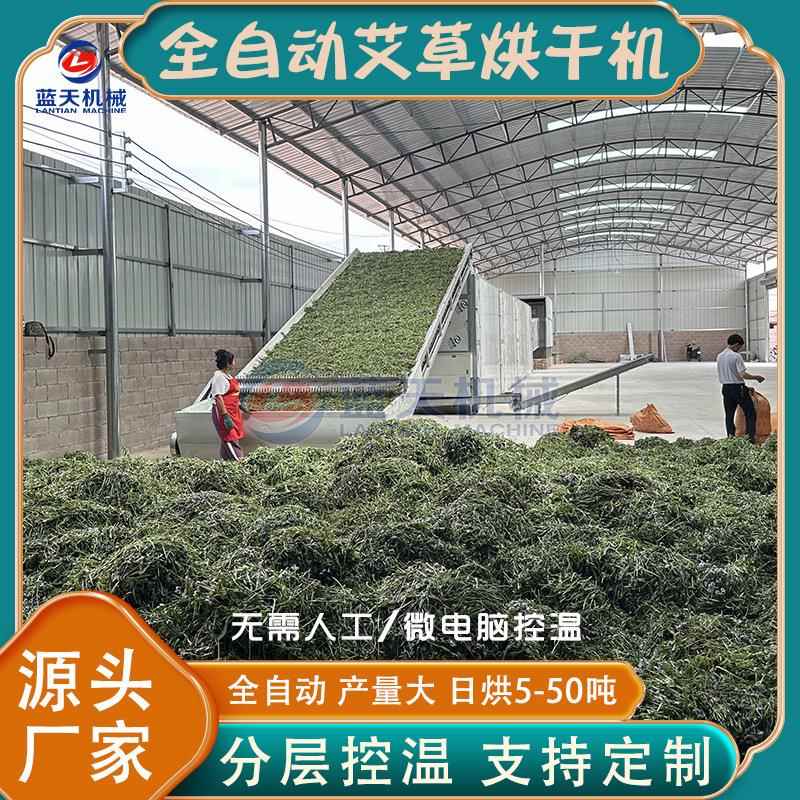 艾草烘干机大型紫苏叶艾叶烘干机网带式艾柱艾条中药材烘干设备