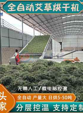 艾草烘干机大型紫苏叶艾叶烘干机网带式艾柱艾条中药材烘干设备