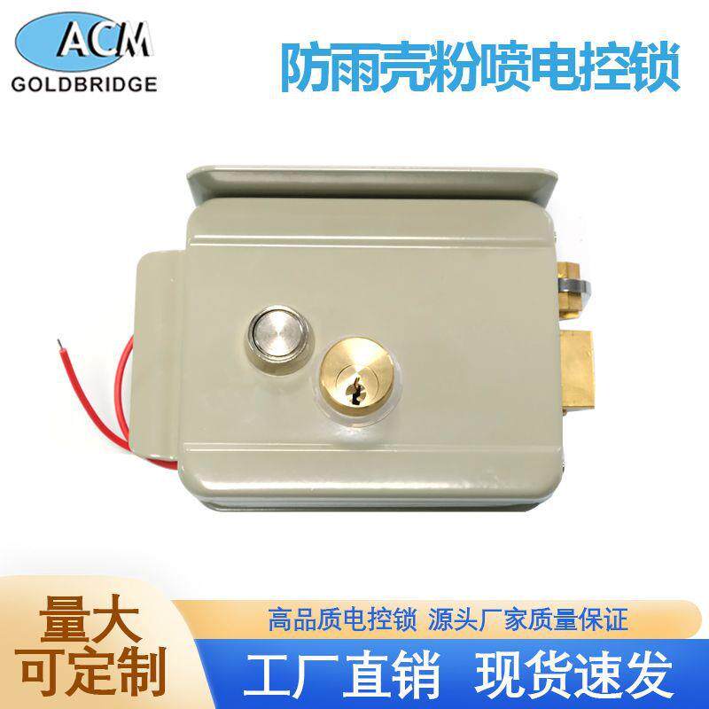 粉喷双头电控锁门锁 带防雨壳电机锁 楼宇小区门禁12V3A电磁锁