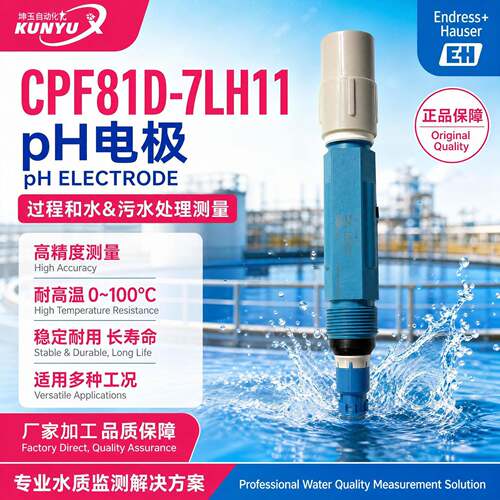 E+H分析仪变送器CM442PH电极CPS11E/CPS21/CPS51耐温玻璃探头