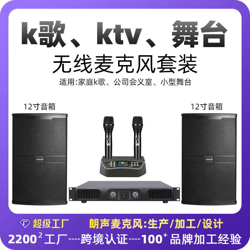 朗声家庭ktv演出会议专用麦克风音箱功放套装舞台k歌家用唱歌娱乐