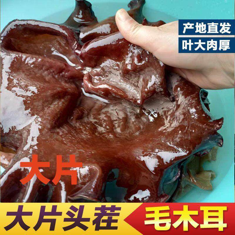 农家自产黑木耳干 干货毛木耳新货肉厚爽口脆木耳火锅食材白背大