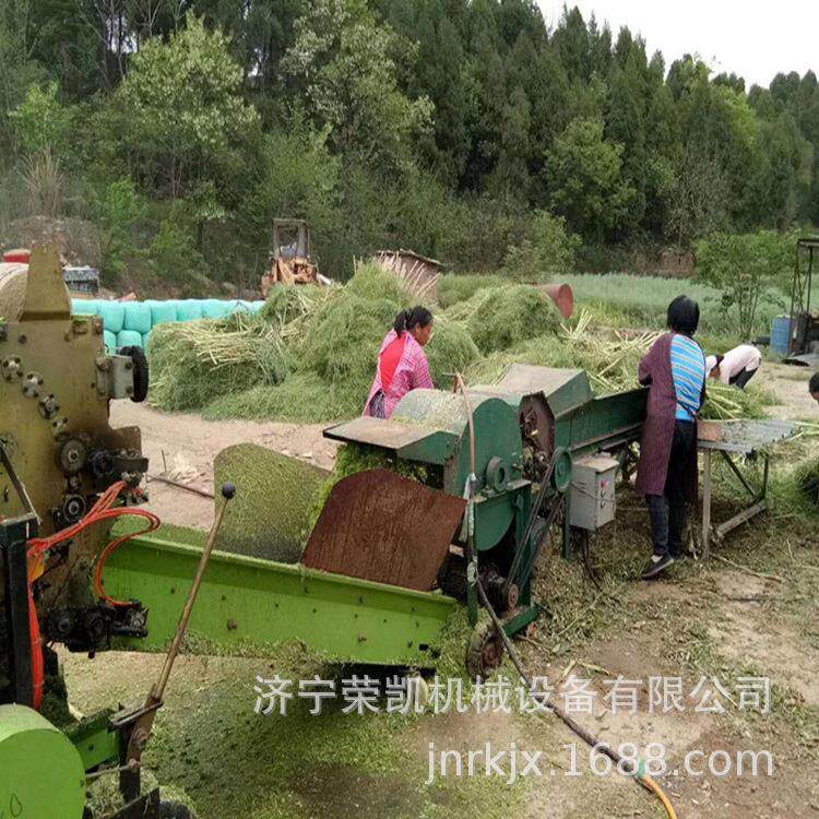 牛羊青贮饲料破碎揉丝机干湿象草皇竹草铡草揉丝机大型饲料揉丝机