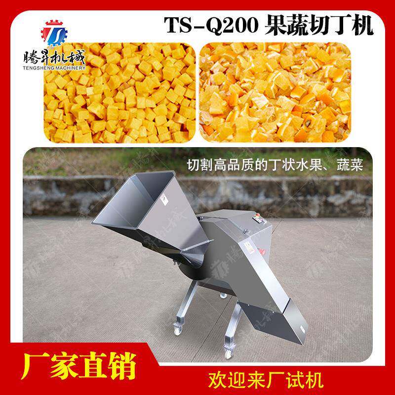 现货供应果脯果腩加工设备果粒饮料设备猕猴桃丁机椰子切粒机