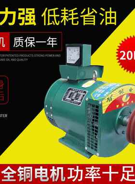 3-03Kw全铜发电机 养殖场电源玉柴发机组配柴油机 交流发电电机