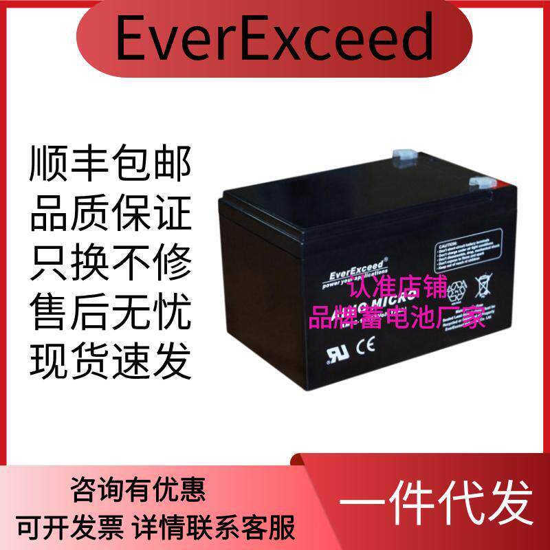 EverExceed蓄电池 AM12-12 12V12AH 消防配电柜UPS铅酸电池