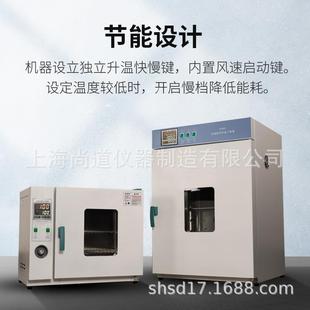 电热鼓风干燥箱恒温烘烤箱工业小型高温实验室 电热恒温干燥箱立式