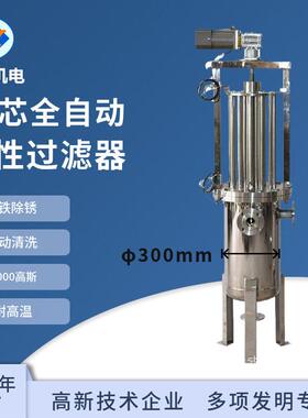 全自动18芯1万2斯除铁器 全自动磁性过滤器 强磁除铁锂电行业