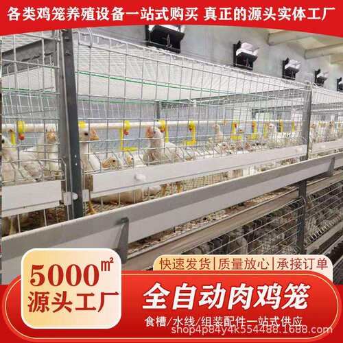 自动化养鸡设备大型养殖鸡舍肉鸡笼投喂养殖镀锌笼阶梯式养鸡设备