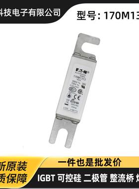 170M7138 170M7139 170M7140 170M7141原装高压熔断器 熔芯