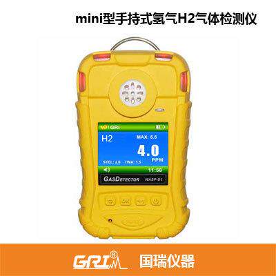 WASP-D1-E-H2手持便携式氢气H2气体检测仪报警器记录仪精准