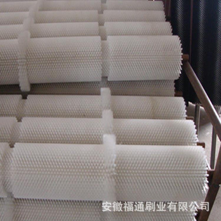 毛刷辊工业毛刷滚筒 食品机械除尘毛刷辊 抛光打磨清洁刷辊厂家