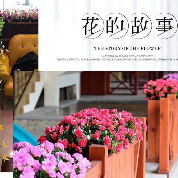 昶喆仿真绿萝蝴蝶兰户外假花绢花塑料花绿植花箱花槽长条栅栏插花