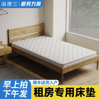 床垫租房专用天然椰棕榈硬床垫经济型护脊环保无胶水不塌陷可定制