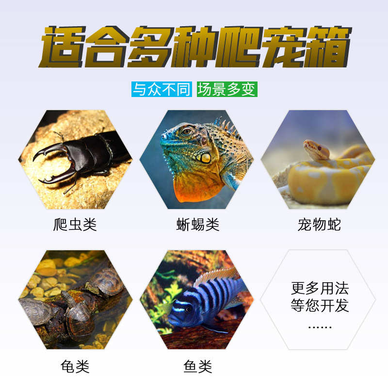 琪彩牌鱼缸背景板3D立体造景板水族箱装饰岩石