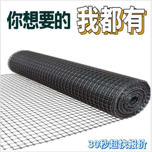 塑料网养殖网菜园黑色户外拦鸭网养鸡双向拉伸土工格栅工厂