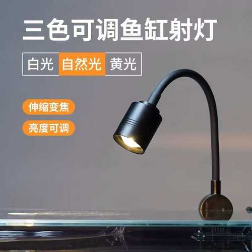 星尘·暗黑风鱼缸高级小型一体免换水超白玻璃黑背桌面生态缸方形