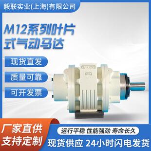 国产马达可任意集成减速制动换向功能 气动马达 防爆M12系列叶片式