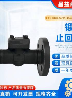 锻钢止回阀A105升降式旋启式止回阀H41HH44H-16/25/40/64/100C