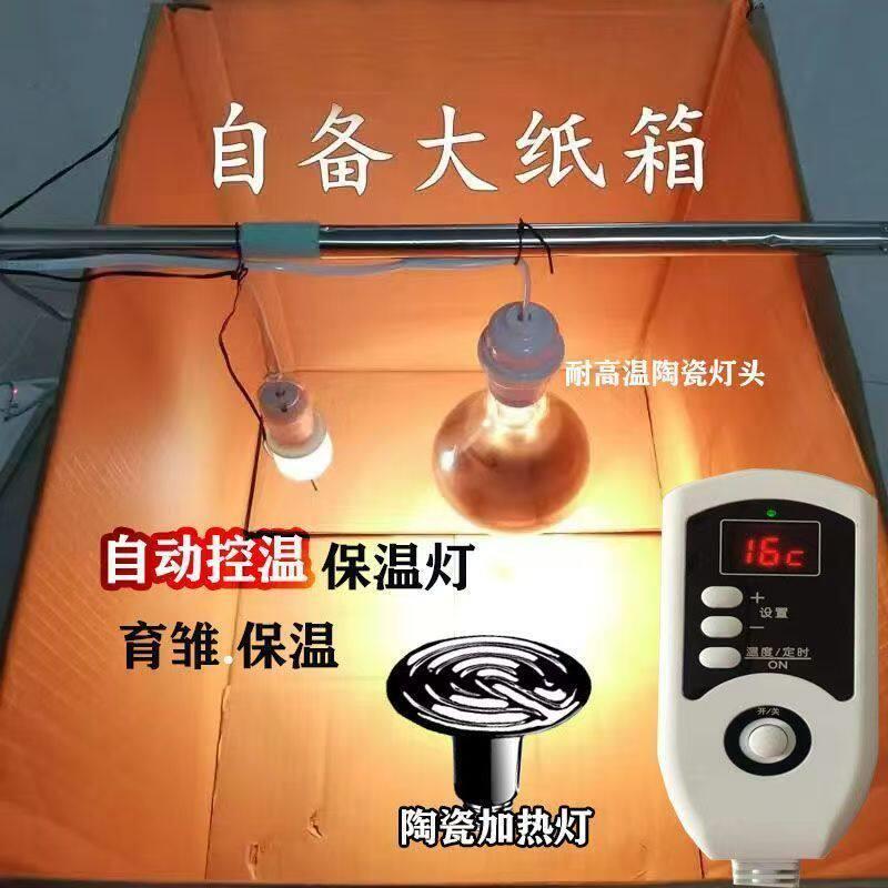芦丁鸡小鸡保温箱自动控温鹌鹑保温箱宠物育雏保温自动加热育雏器